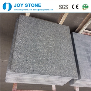 Outdoor Tiles 60x60 G654 24 X 24 Granite Flamed Wall Stone
