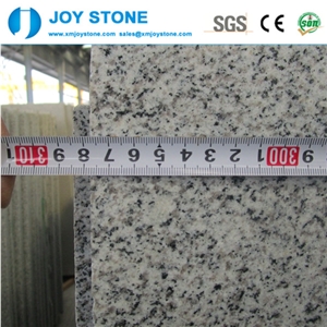 Promotion Sales Crystal White Granite G603 Sesame Grey Granite Slabs