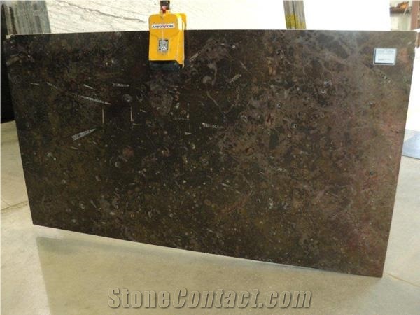 Fossil Brown Marble Professional Stone Manufacturer