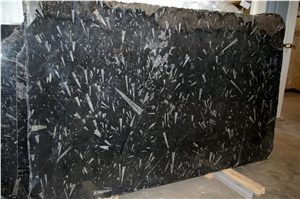 Polished Black Fossil Marble Slab Tile Supplier in China