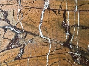 Tropical Rainforest Marble Slab&Tiles Brown Marble Suppliers