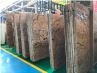 Tropical Rainforest Marble Slab&Tiles Brown Marble Suppliers
