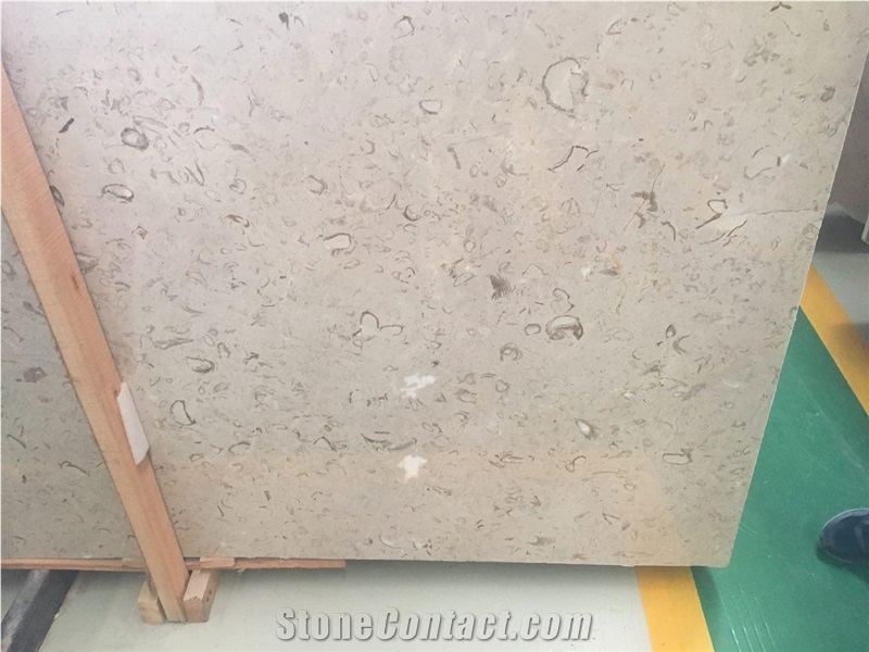 Shell Beige Marble Cut to Size Tiles