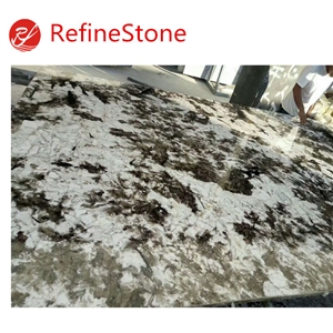 Wholesale Exotic Alpine White Granite Slab