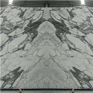 Italian Arabescato Corchia Marble Jumbo Slabs,Bookmatch Walling Tiles
