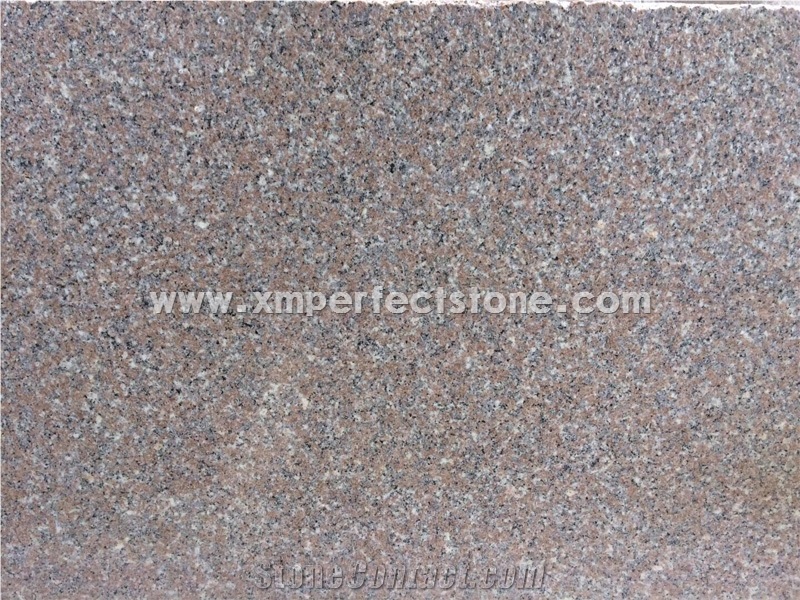 Polished/Flamed G648 Red Granite Small Slabs for Wall,Floor