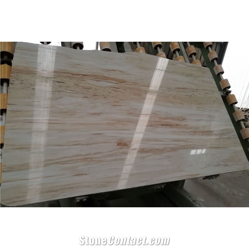 Price Slabs Beige Eurasian Wooden Petrified Stone Marble Vein Wood