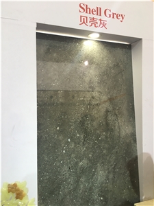 Shell Grey Marble Slab and Tiles