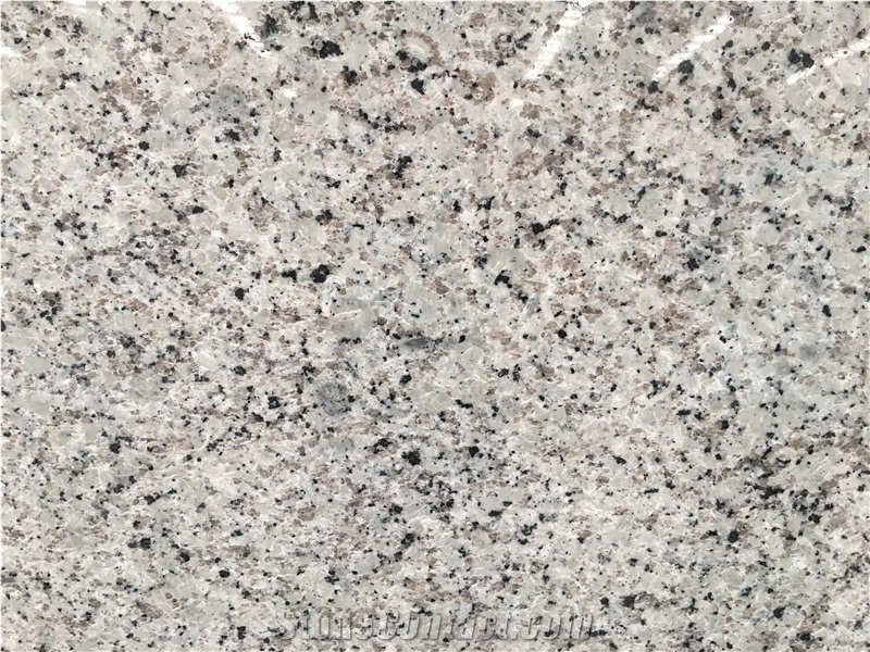 Bala White Granite Slab for Kitchen/Bathroom/Wall/Floor