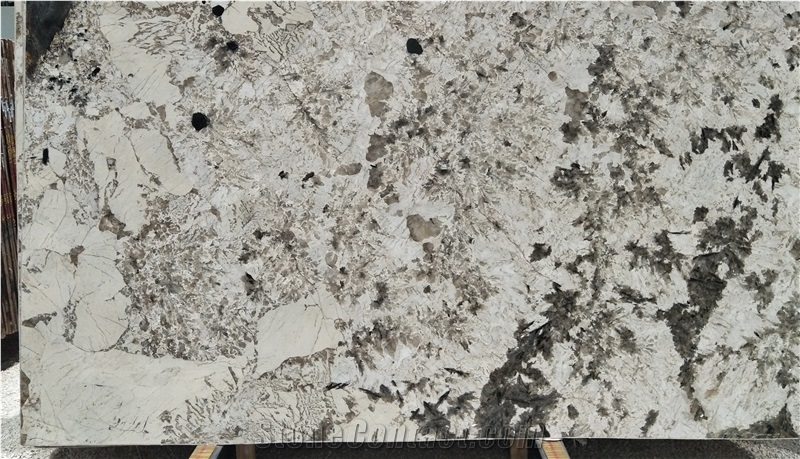 Splendor White Quartzite Tiles&Slabs Quartzite Flooring&Walling