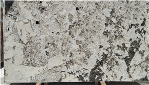 Splendor White Quartzite Tiles&Slabs Quartzite Flooring&Walling