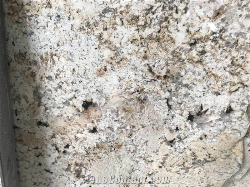 Golden Cremar Granite Slab Tile