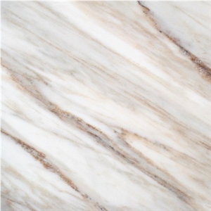 White Wood Marble Slab & Tile,Calacatta White,Serpegiante Grey Marble