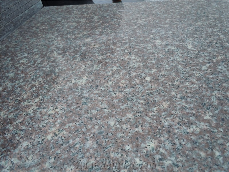 Latest G664 Price Royal Bronze Granite Red Violet Granite Tiles Slabs