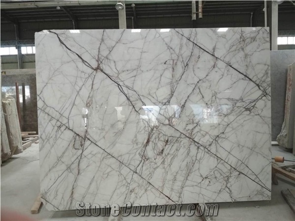 New Calacatta Purple Marble Slabs Stunning Marble Floor & Wall Tiles, Turkey White Marble