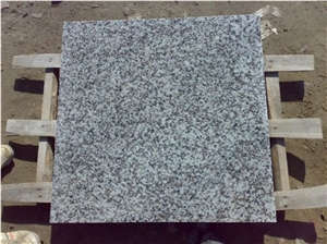 Chinese Granite G439 Big Flower White Granite Tiles