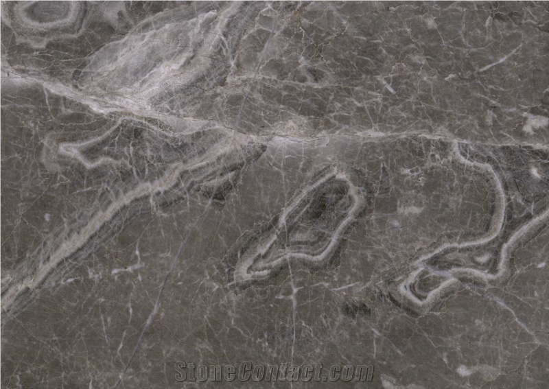 Gray Leopard Marble