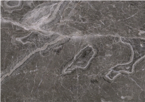 Gray Leopard Marble