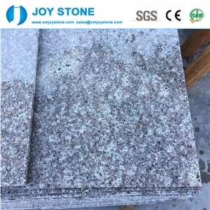 Polished Cheap Chinese G664 Pink Granite Outdoor Thin Tiles