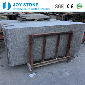 Wholesale Polished Granite Tile G664 with High Quality