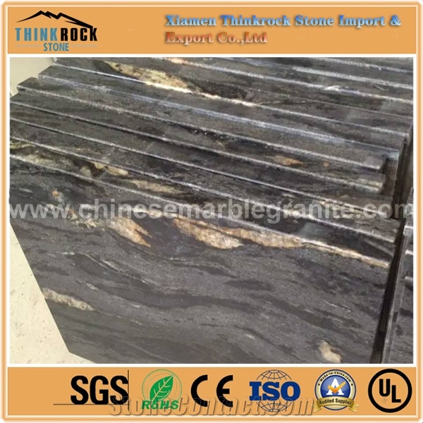 Premium Surface Matrix Titanium Black Granite Stone Slabs