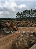 Xiamen China Stone Collections Co., Ltd.
