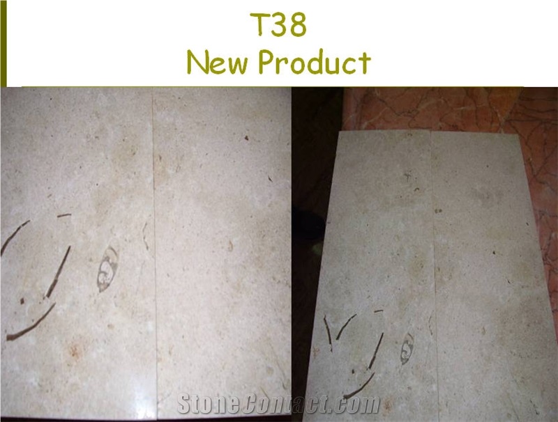 T38 Limestone Tiles- New Products