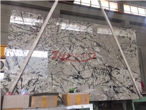 Branco Antico Granite Translucent Glass-Backed Panels for Blackground