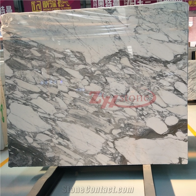 Hot Sale Arabescato Carrara Marble Slab for Wall Tile