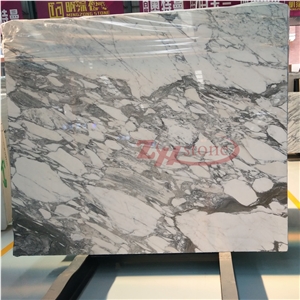 Hot Sale Arabescato Carrara Marble Slab for Wall Tile