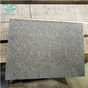 G654 Padang Dark Big Grain Granite Grey Seasame Pavers