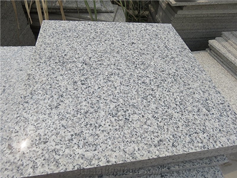 Bianco Sardo G640 Grey and White Granite Tiles for Floor Wall Cladding, Black White Flower Granite