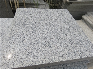 Bianco Sardo G640 Grey and White Granite Tiles for Floor Wall Cladding, Black White Flower Granite