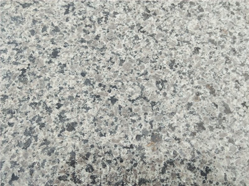 Yixian Grey Granite Polished Flamed Natural Building Stone Floor Tiles