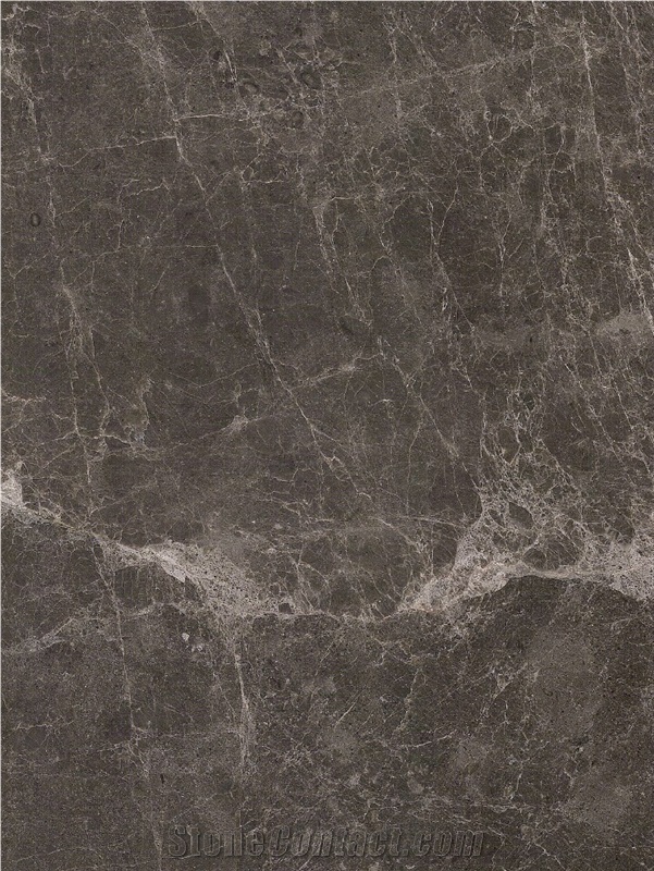 Xixi Li Grey Marble (Brown) Slabs