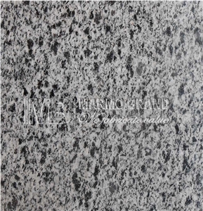 New Halayeb Granite Slabs & Tiles, Bianco Halayeb Granite Slabs & Tiles