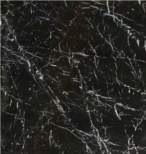 Black Ice Century Marble Tile for Worktops/Hard Stone