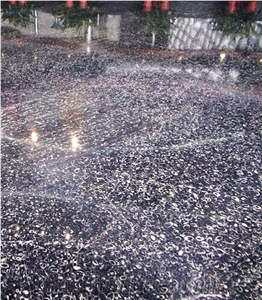 Black Sea Shell Marble Slabs Floor Covering/Hotel Lobby Walling Stones