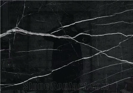 China Nero Black Marquina Marble High Light Polished