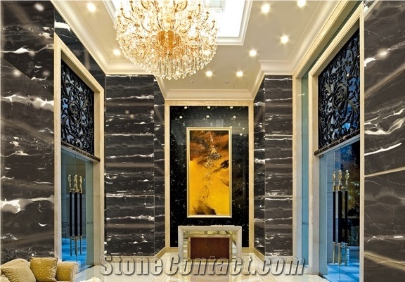 Chinese Silver Dragon Black Marble with White Lines/Veins for Covering
