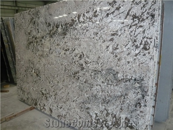 Customer Size Bianco Antico Granite Flooring Covering Slabs / Tiles