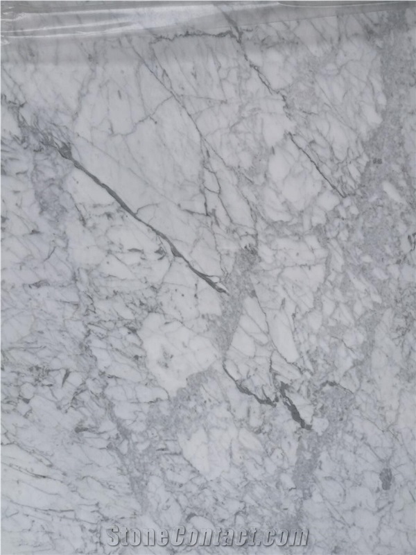 Italy White Marble Bianco Carrara Slabs Floor and Wall Covering