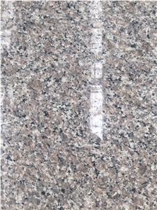 New G664 Polished Granite Tile & Slabs,China Grey Misty Brown Granite
