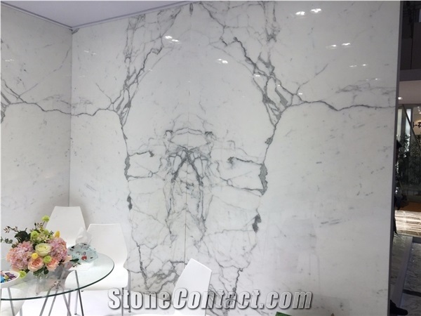 Snow White Marble Tiles & Slabs for Villa Interior Wall Cladding