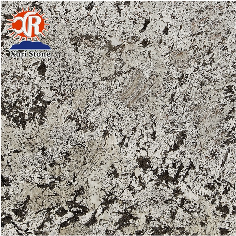 China Wholesale Custom Bianco Antico Granite Good Price