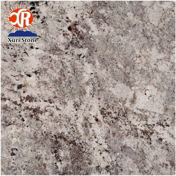 High Quality Alaska White Granite for Countertop