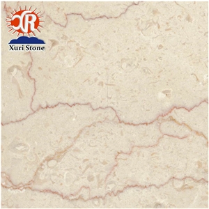 High Quality Shell Stone Cream Beige Fossile Marble