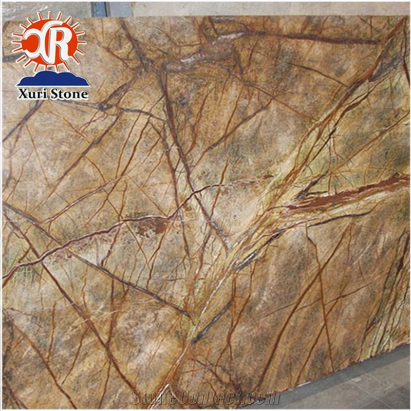 Promotion Beautiful India Rainforest Brown Marble for Home Decoration