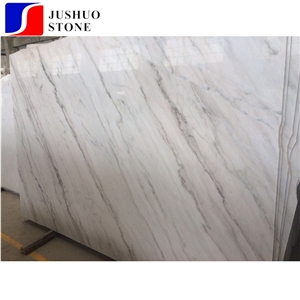 Carla White/ Guangxi Bai Marble Slab with Black Grains/Veins for Sale