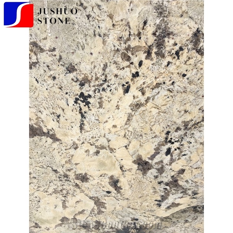 Indian Price High Quality Alaska White Granite for Wall Cladding,Floor